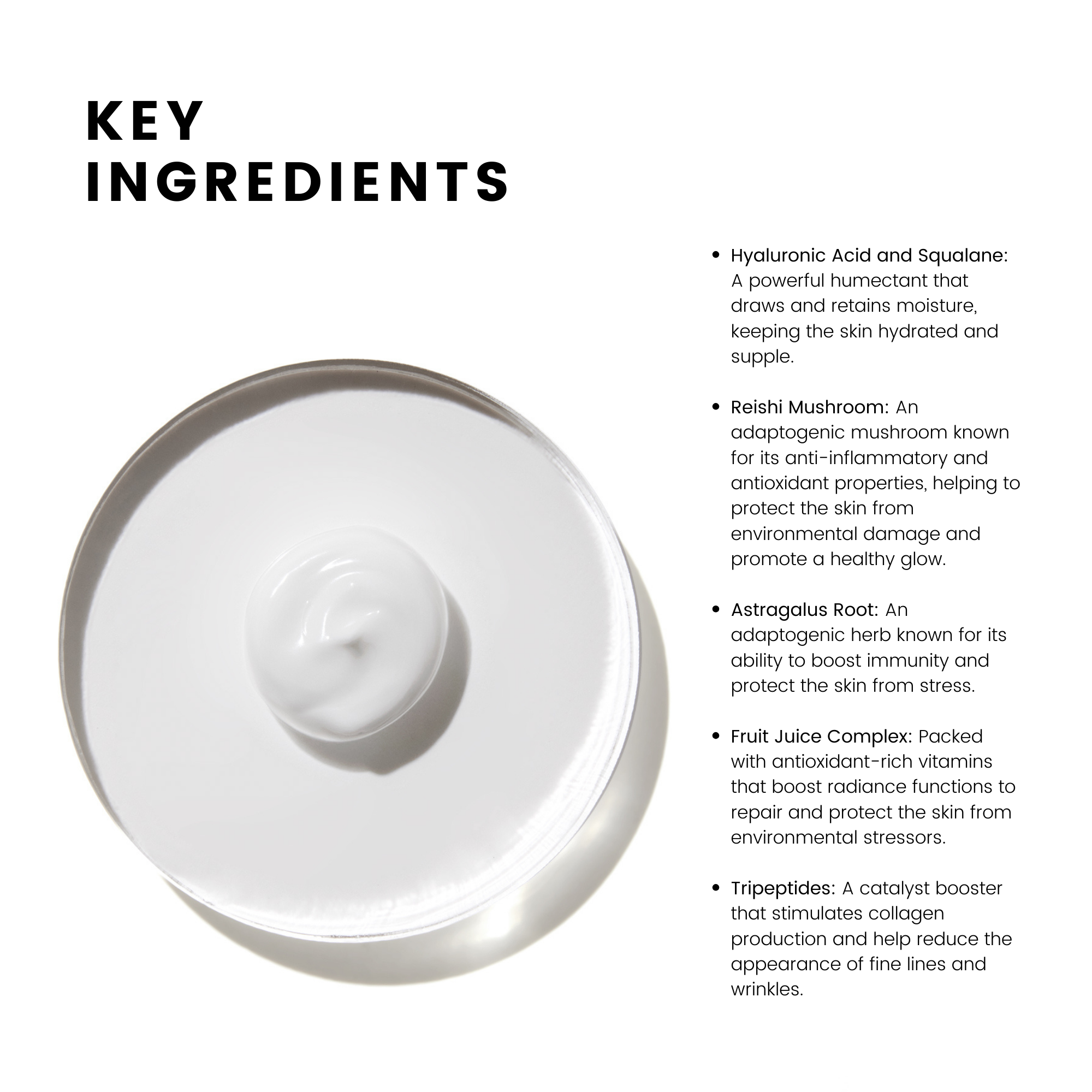 Comune Hydra Shroom Cream Key Ingredients