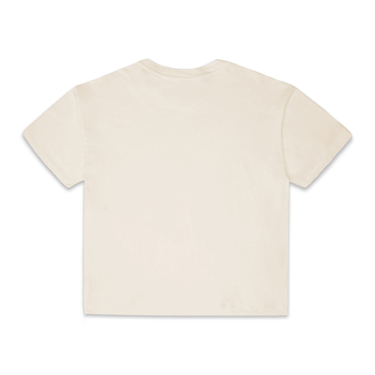Comune Nori oversized tee in soft 100% supima cotton in bone color on white background, back view. COMUNE NORI OVERSIZED TEE | Bone